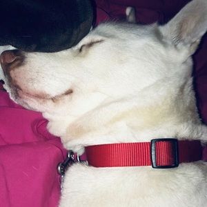 Meet your Posher, Marlene